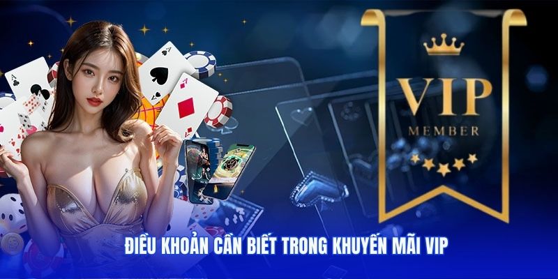 Điều khoản cần biết trong khuyến mãi VIP