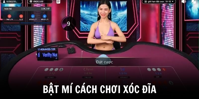 Bật mí cách chơi Xóc Đĩa thắng lớn cho hội viên