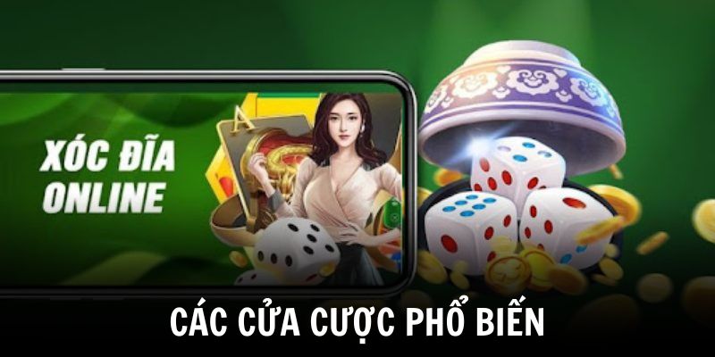 Các cửa cược phổ biến trong Xóc Đĩa