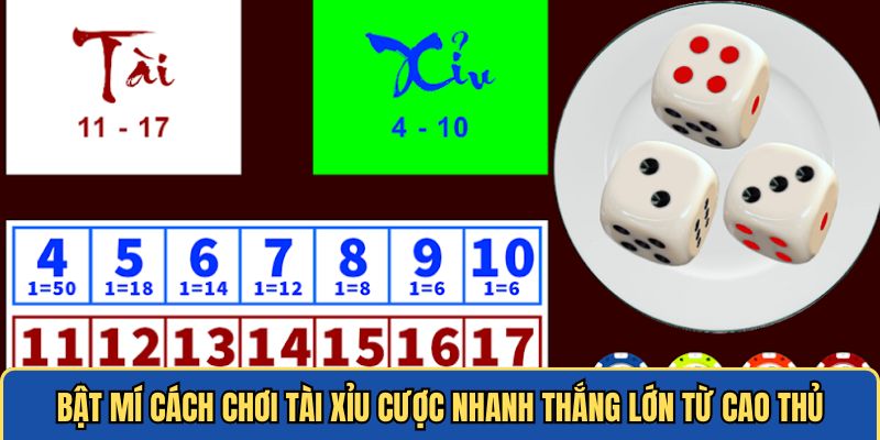 Cách chơi tài xỉu