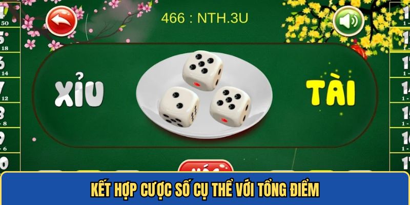 Cách chơi Tài Xỉu kết hợp