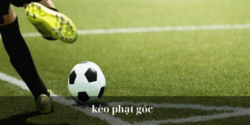 Kèo phạt góc