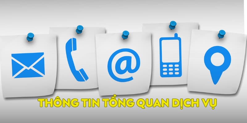 Thông tin tổng quan dịch vụ